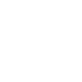 pariatur